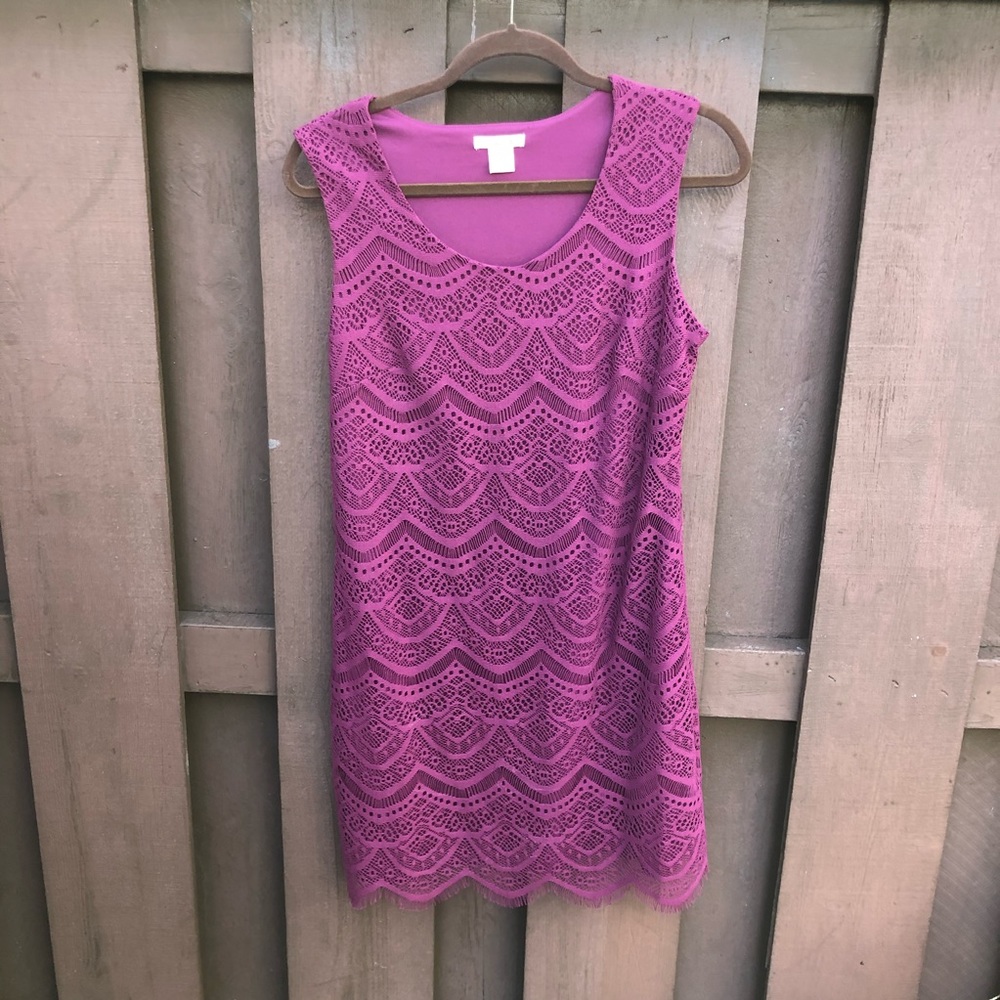 Sleeveless lace purple above the knee dress medium